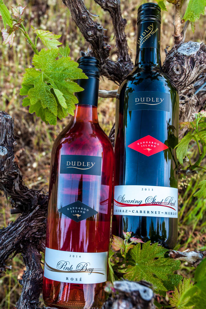 IMG_5918 - GALLERY.JPG